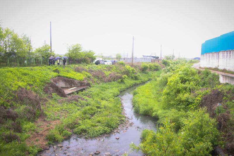 0서구,_생물자원관과_함께_생태·환경_수종_보급_앞장선다_관련사진2_검단천.jpg 이미지