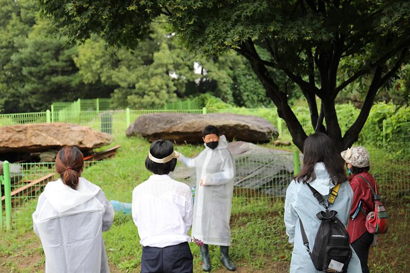 12서구문화재단,_2021_‘불로대곡검토단’_마무리__(3).jpg 이미지