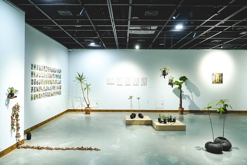 12서구문화재단,_‘2021_예술인_지원사업’_마무리__(2).jpg 이미지