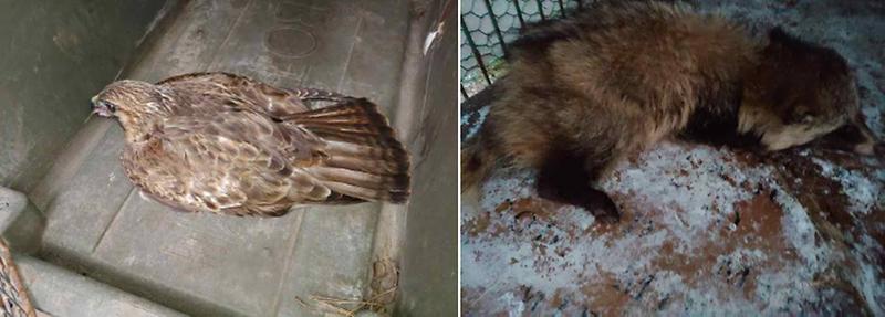 1서구,_환경_행정_업무추진_평가_‘인천_1위’__(1).jpg 이미지