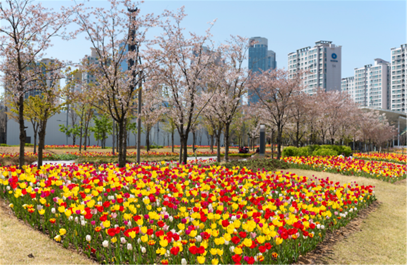 2도심_흉물_승학산_훼손지가_스마트_그린녹지로~_(1)_조성예시.png 이미지