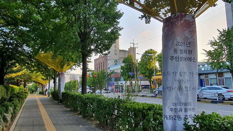 2가좌2동_주민자치회,_은행나무_악취_예방하는_그물망_설치__(2).jpg 이미지