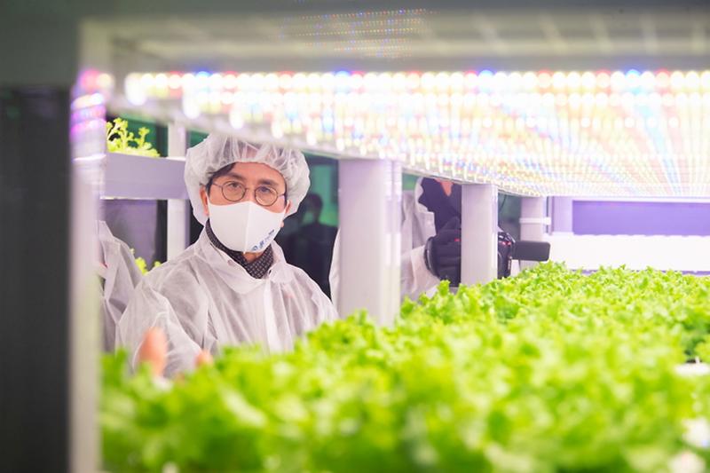 2서구,_‘에코스마트팜’_조성...ICT와_농업의_만남__(3).jpg 이미지