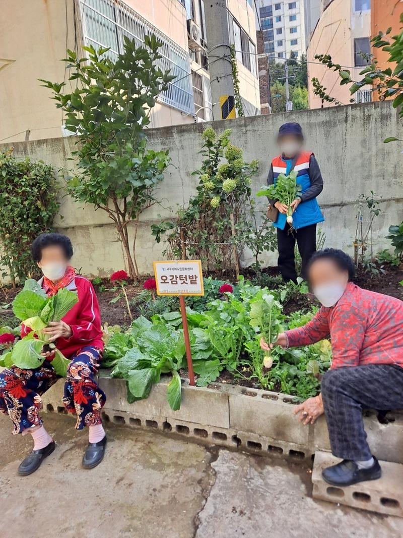 2서구,_노인맞춤돌봄서비스_수행기관_수상_‘쾌거’_(3).jpg 이미지
