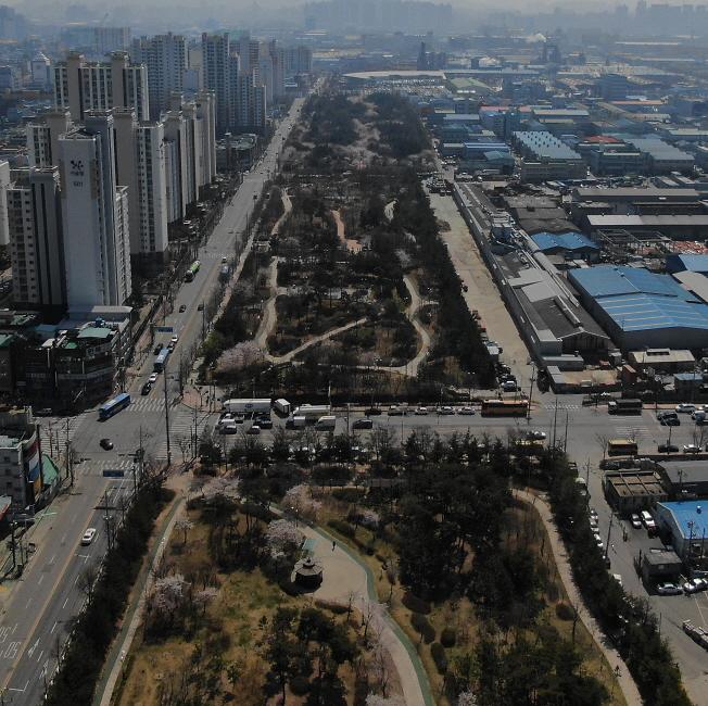 2서구_석남녹지에_‘탄소중립_숲’_우거진다_(4).jpg 이미지