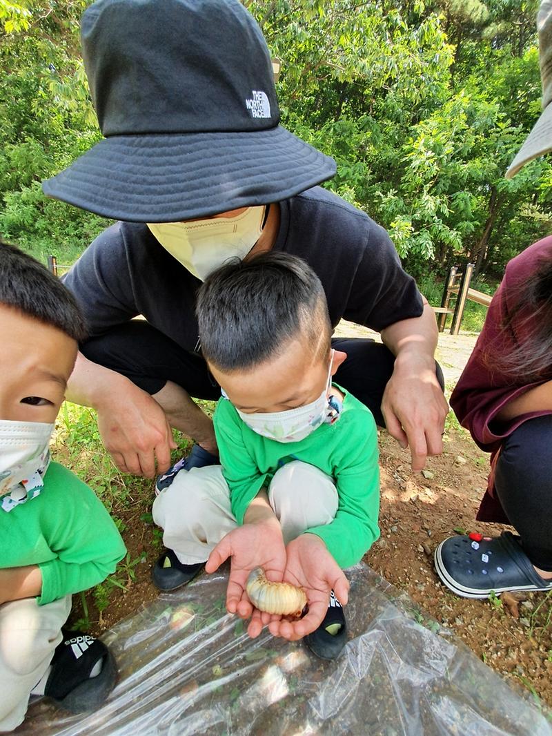 3친구들아,_숲에서_놀자…서구,_가원유아숲체험원_본격_운영__(2).jpg 이미지