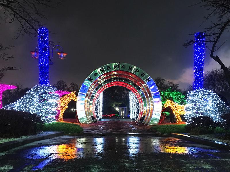 4서구,_장미원에_야간경관조명_설치...‘새_단장’__(1).jpg 이미지