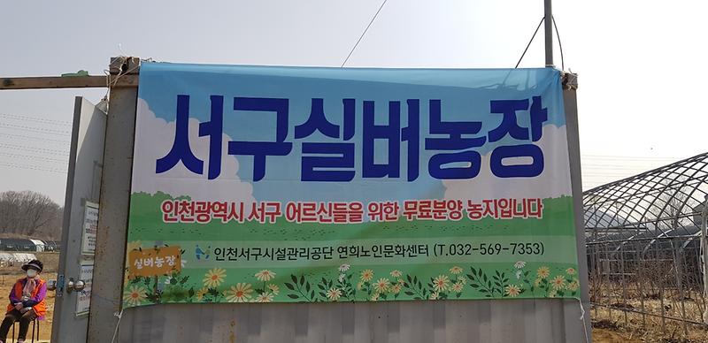 5도심에서_즐기는_힐링,_2021년_서구_실버농장_개장__(2).jpg 이미지