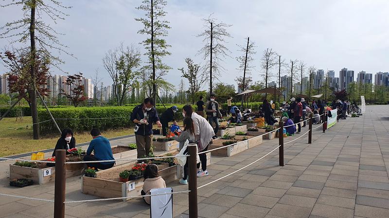 5서구,_“세대공감_도시텃밭_내_손으로_꾸며봐요~”_.jpg 이미지