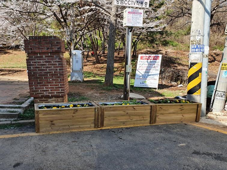 5원당동,_상습_쓰레기_무단투기지역에_봄꽃_화분_설치__(2).jpg 이미지