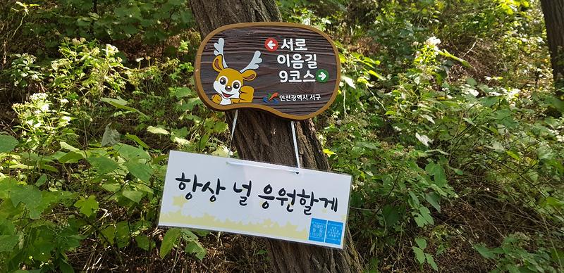 6가정1동_주민자치회,_‘브레인힐링_테라피’__(2).jpg 이미지
