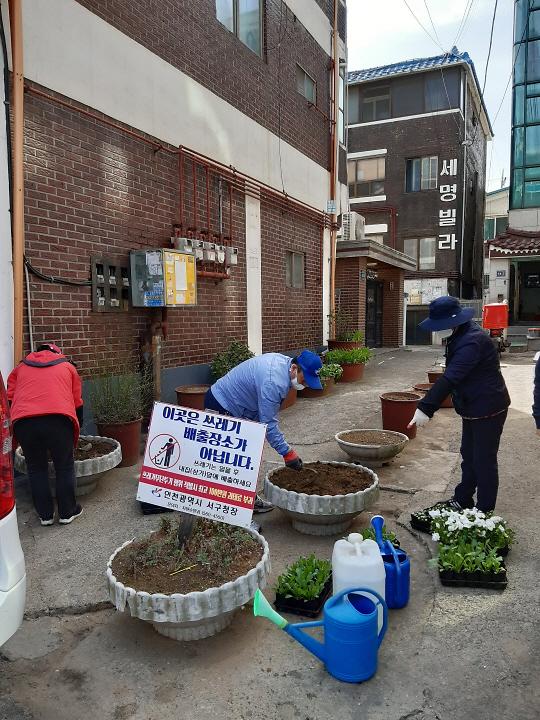 6석남1동,_‘봄_내음_가득’_봄꽃_1만4천_본_식재__(1).jpg 이미지