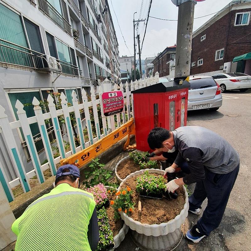 7석남1동,_마을_구석구석_푸르른_여름_향기를_전하다__(2).jpg 이미지