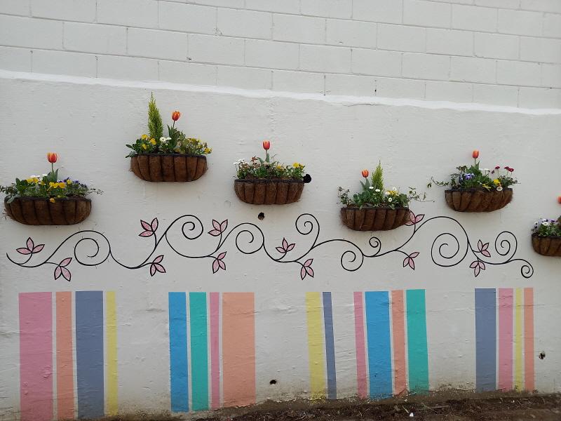 7연희동_경로당_담장에_올해도_꽃이_피었네__(1).jpg 이미지