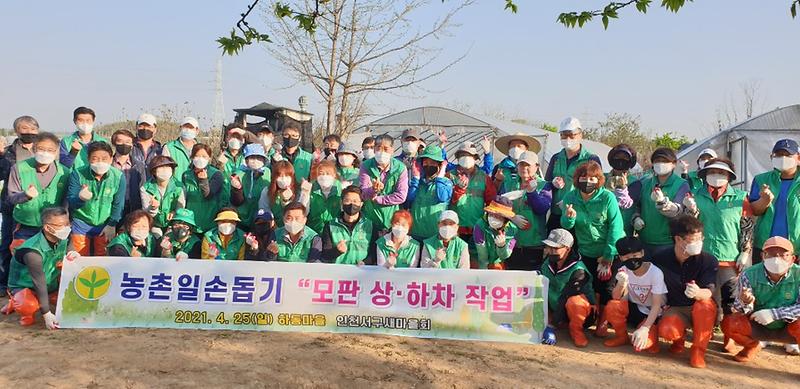 8서구새마을회,_농가_일손_돕기_봉사활동에_구슬땀__(1).jpg 이미지