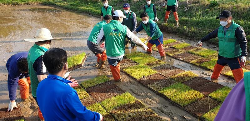 8서구새마을회,_농가_일손_돕기_봉사활동에_구슬땀__(2).jpg 이미지