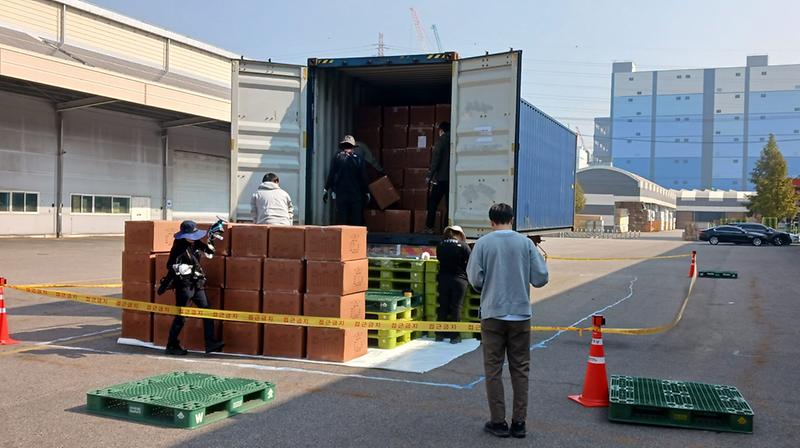 1서구,_생태계_교란_‘긴다리비틀개미’_발견_···긴급_방제로_유출_막아__(3).jpg 이미지