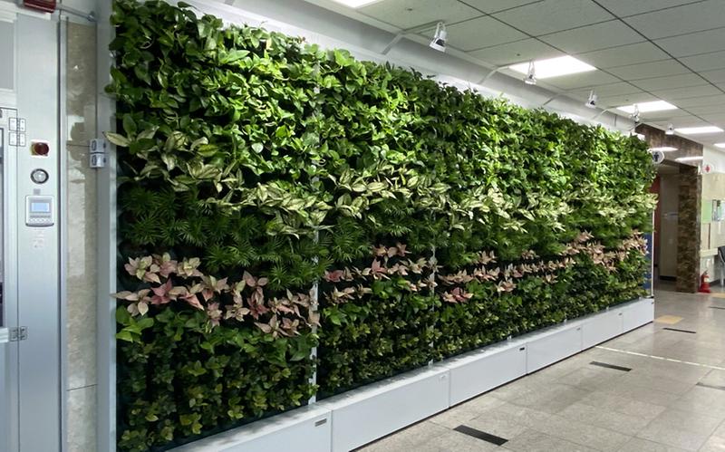 2일상_속_힐링’_서구,_IoT_활용_실내정원_‘스마트가든’_운영__(1).jpg 이미지