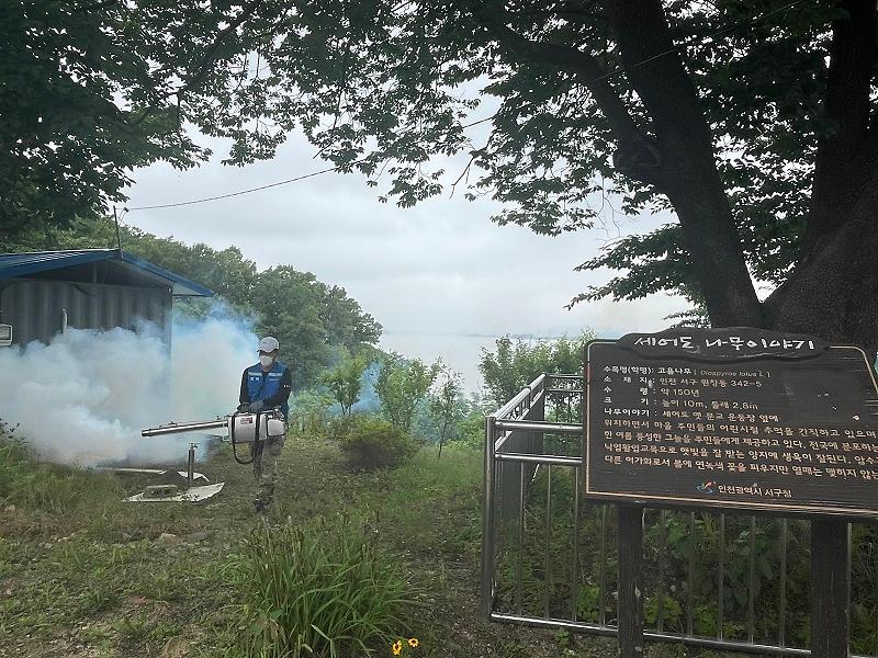 2서구보건소,_감염병_예방위해_세어도_집중_방역__(1).jpg 이미지