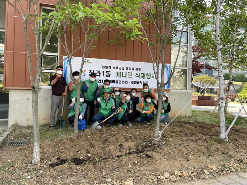 4청라1동_새마을회,_‘미세먼지_잡는_친환경_식물’_케나프_식재_행사_.jpg 이미지