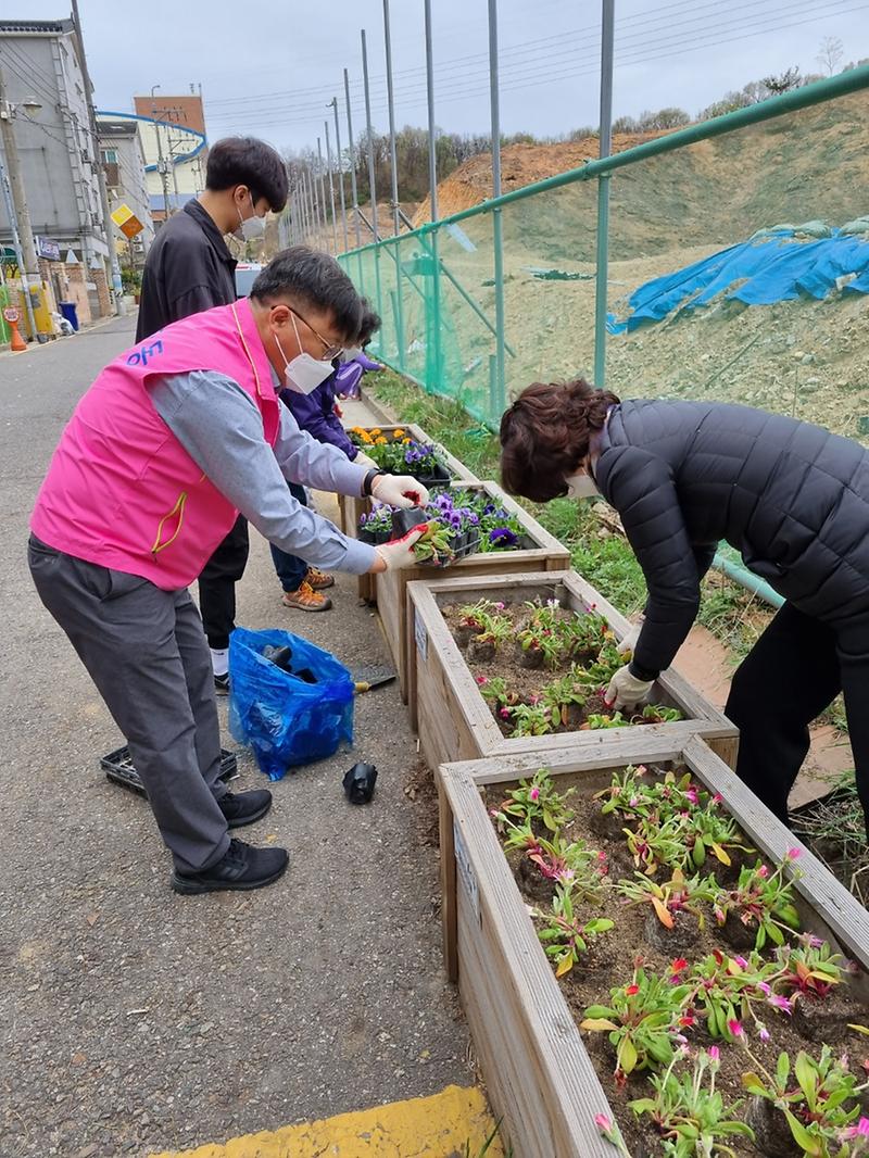 4원당동,_‘봄꽃’_가득한_아름다운_우리_마을_만들기__(1).jpg 이미지