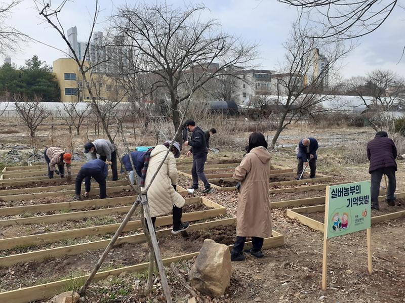 5서구치매안심센터,_‘실버농부의_기억텃밭’_치유_프로그램_운영_.jpg 이미지