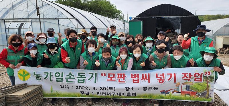 7서구새마을회,_농가_일손_돕기_활동에_‘구슬땀’__(2).jpg 이미지