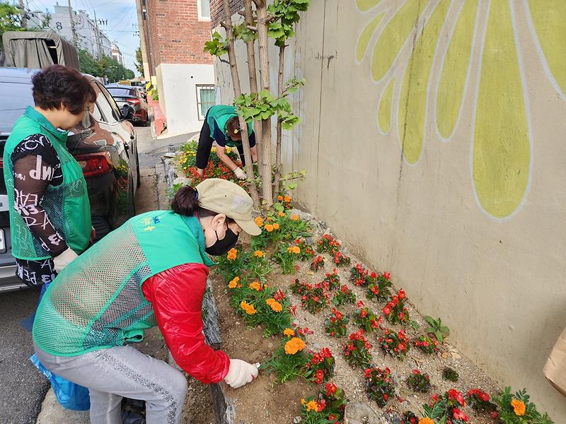 9가좌3동에_‘클린어벤저스’_떳다,_환경정비·가을꽃_심기_활동__(1).jpg 이미지