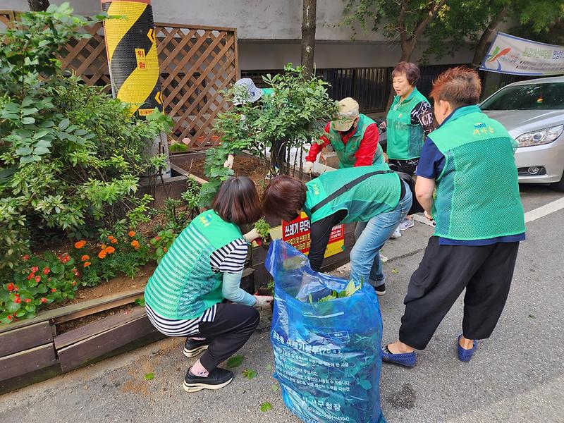 9가좌3동에_‘클린어벤저스’_떳다,_환경정비·가을꽃_심기_활동__(2).jpg 이미지