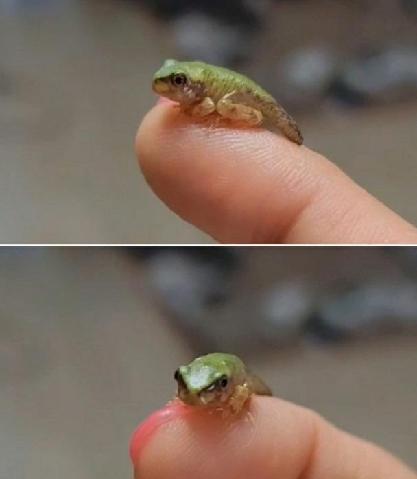 9서구문화도시_예비사업_‘매립지와_도시생태_시민연구단’__(2).jpg 이미지