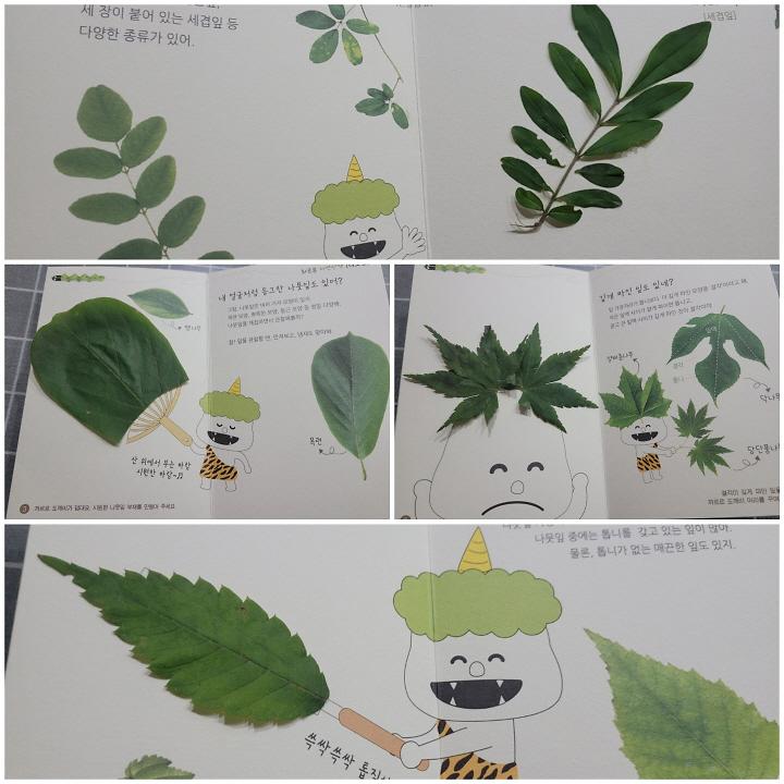 9서구문화도시_예비사업_‘매립지와_도시생태_시민연구단’__(3).jpg 이미지