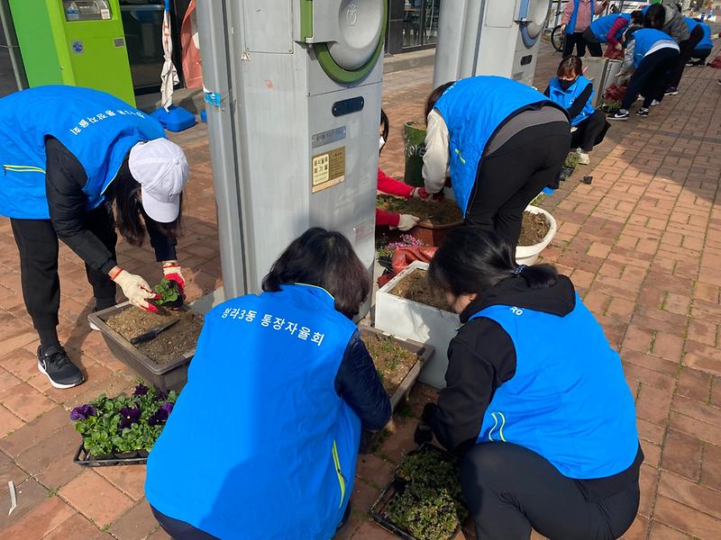 10청라3동,_‘꽃과_함께하는_클린업데이’···청소취약지에_봄꽃_심어__(2).jpg 이미지