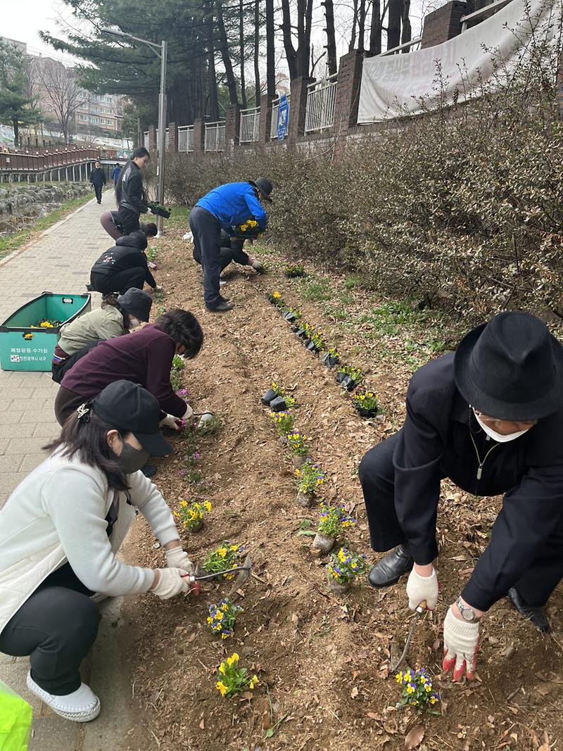10당하동_주민자치회,_나진포천_산책로에_봄꽃_심어_‘기분좋은_공간으로’__(2).jpg 이미지