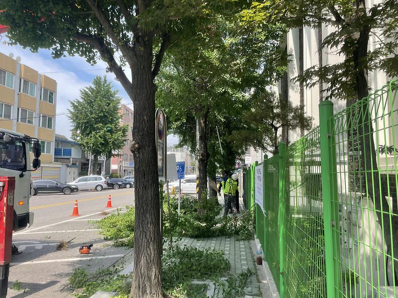 10가좌3동_주민자치회,_가석로156번길_가로수_가지치기_사업__(2).jpg 이미지
