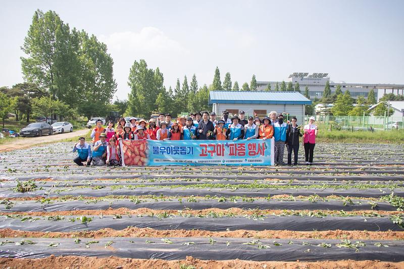 3한국중부발전(주)·인천사회봉사협의회,_‘사랑의_고구마_심기’__(2).jpg 이미지