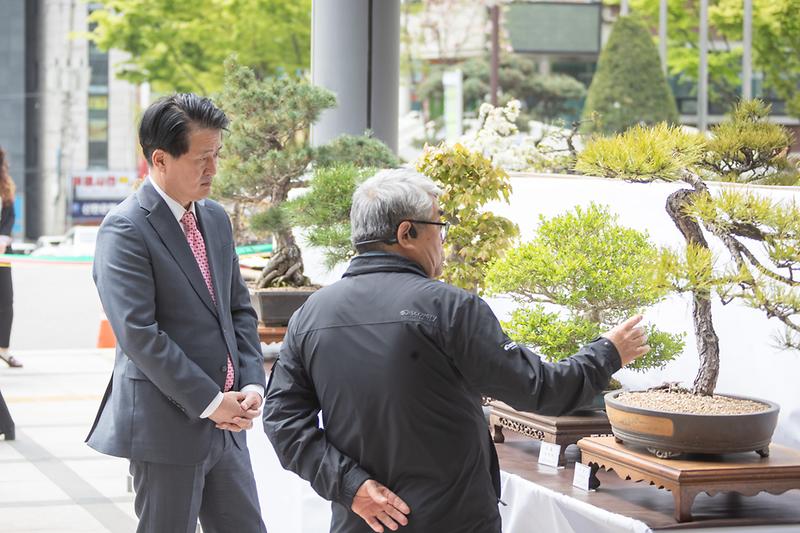 4서구,_청사에서_21일까지_야생화·분재_작품전시회__(1).jpg 이미지