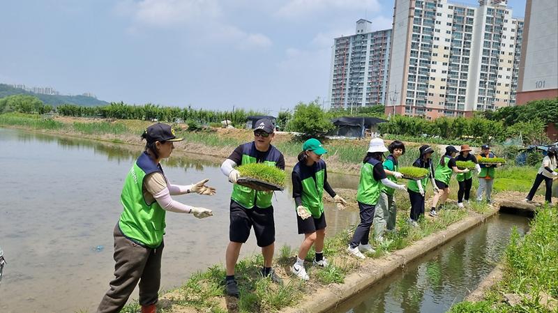 5서구자원봉사센터_가족봉사단,_불로대곡동_농가_방문_농촌일손_돕기__(2).jpg 이미지