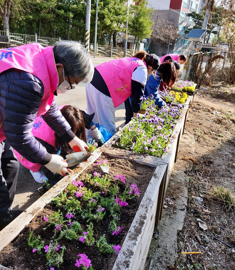 6원당동,_청소_취약지에_봄꽃_심어···‘무단투기_예방’_.jpg 이미지