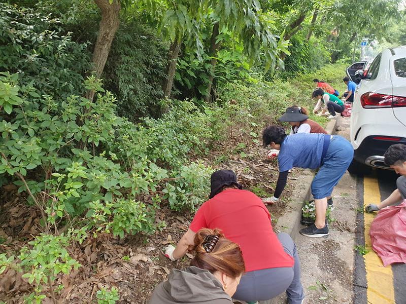 7‘깨끗한_환경이_주민복지_첫걸음’_연희동_협의체,_여름꽃_심기_나서__(2).jpg 이미지