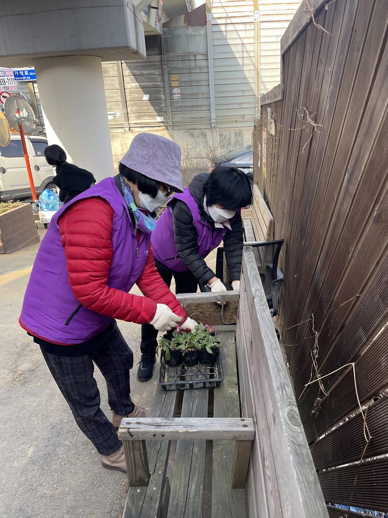 9가좌3동,_주민과_함께_‘봄꽃심기’···무단투기_예방도_기대__(1).jpg 이미지