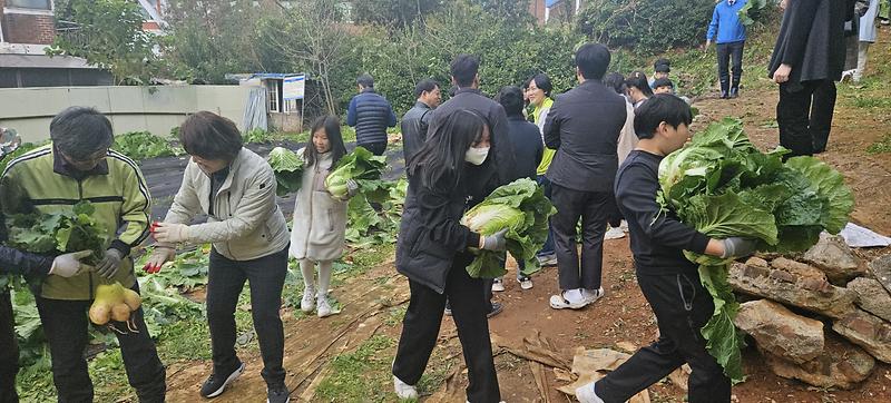 9인천가정초_사랑의_텃밭,_가좌2동_지역사회_나눔(3).jpg 이미지