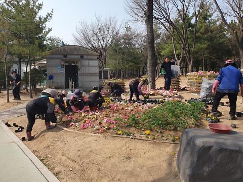 1서구,_새봄맞이_가로정원_환경정비_실시(2).jpg 이미지